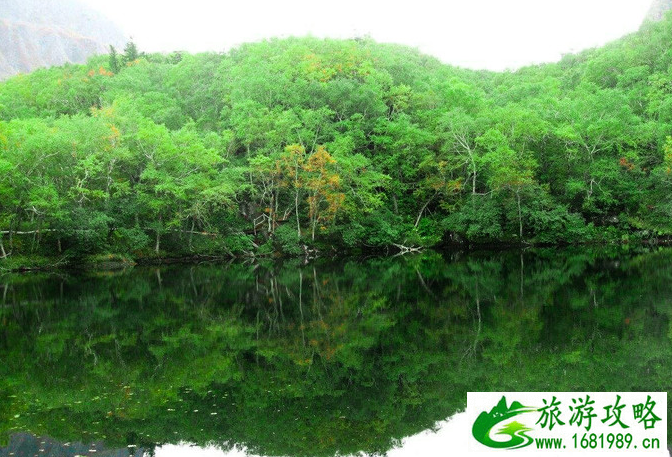 长白山夏日避暑攻略