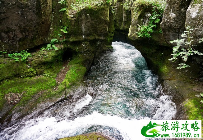 长白山夏日避暑攻略