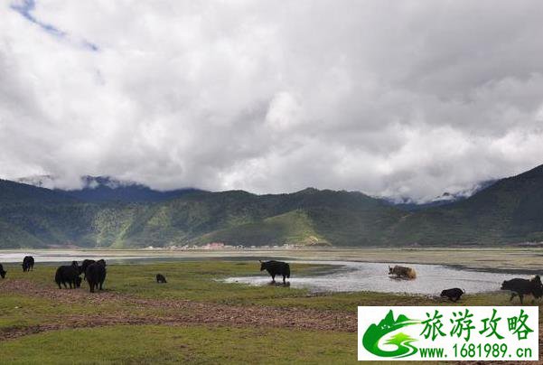 稻城乡城到香格里拉旅游攻略