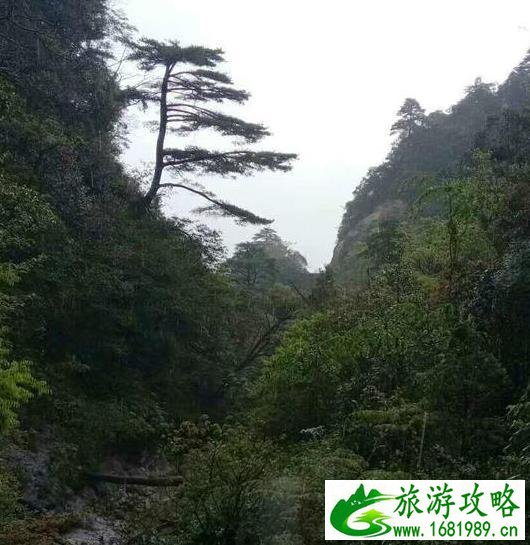 韶关南岭和云门寺旅游攻略