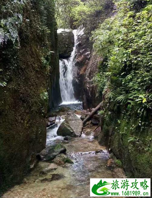 韶关南岭和云门寺旅游攻略