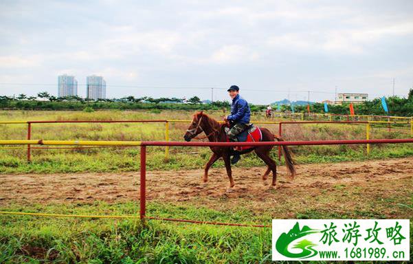 深圳周边自驾游推荐 深圳周边自驾游景点