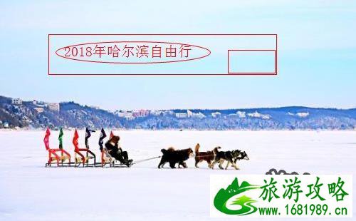 2022哈尔滨自由行旅游攻略