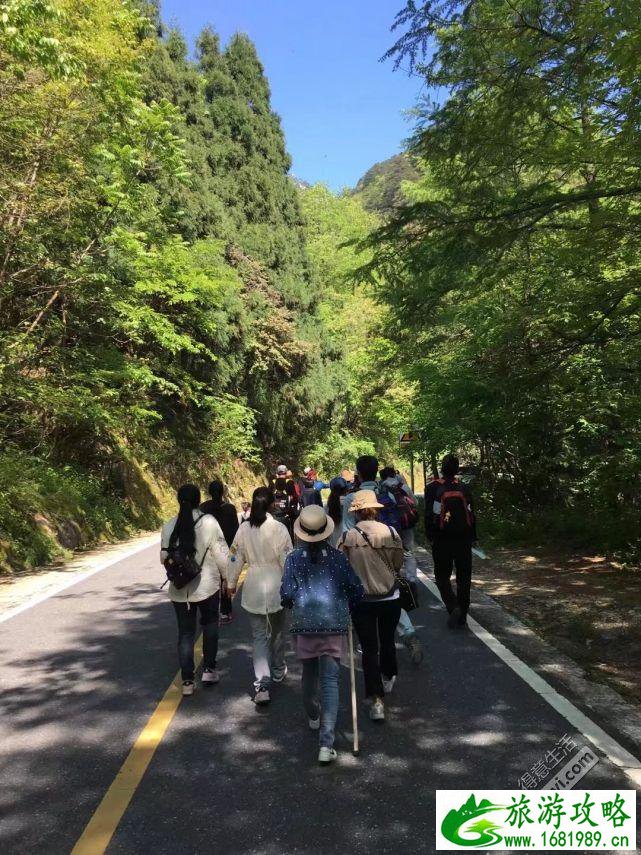 武汉到黄山自驾游线路攻略