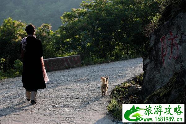 武当山自驾游旅游攻略 武当山自由行旅游游记