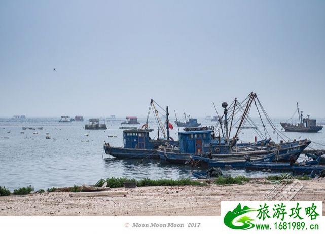 武汉自驾去蓬莱-烟台-威海-青岛-连云港-南京攻略