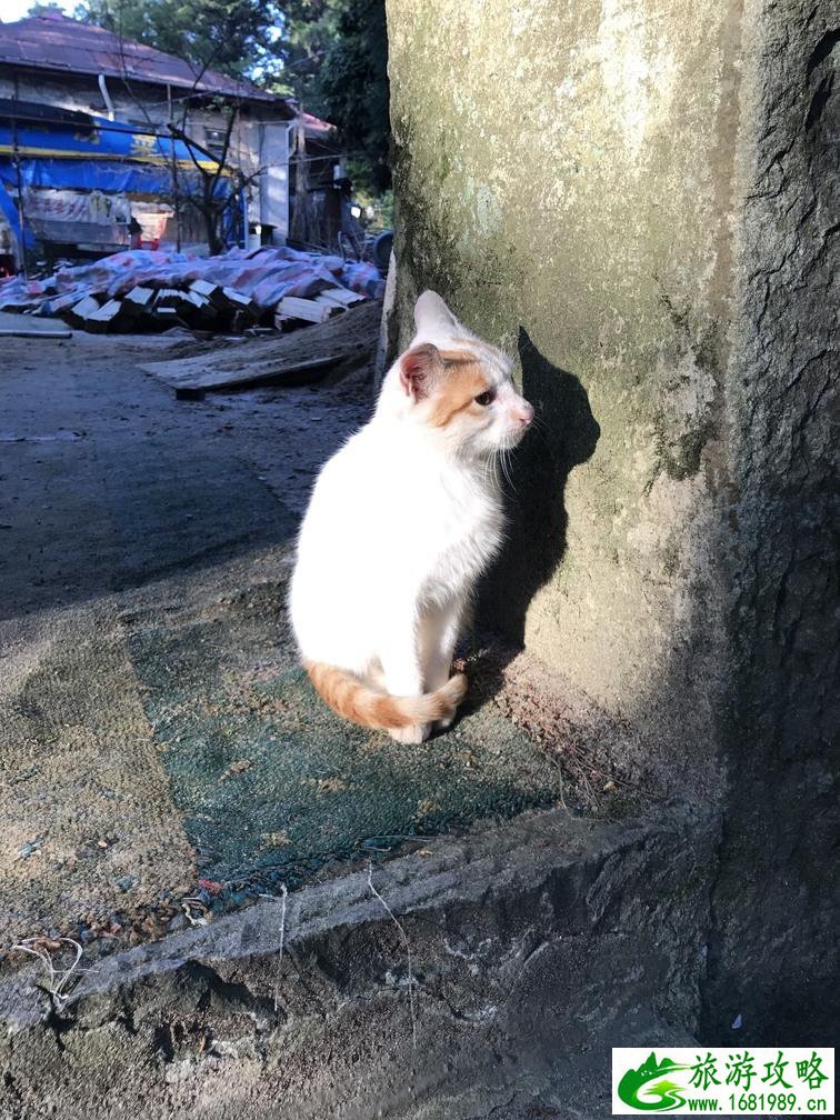 庐山自驾游还需要买观光车票吗