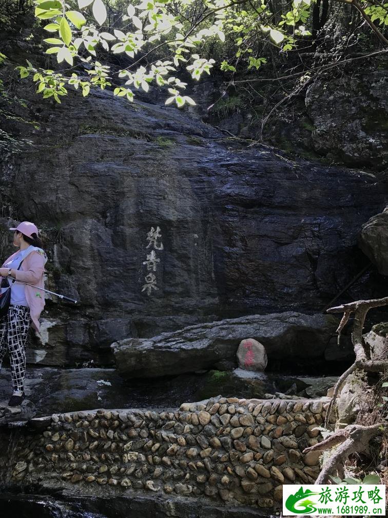 庐山自驾游还需要买观光车票吗