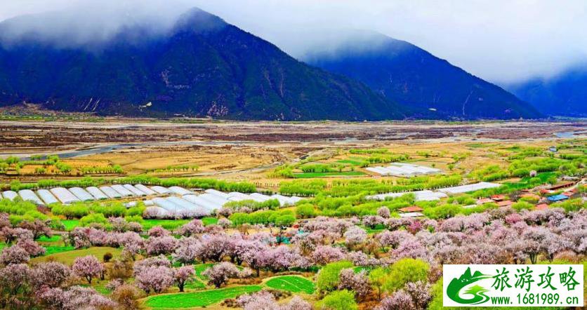 西藏林芝旅游攻略