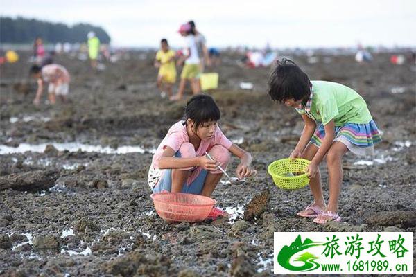 深圳赶海的地方有哪些