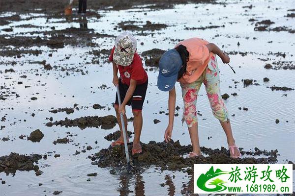 深圳赶海的地方有哪些