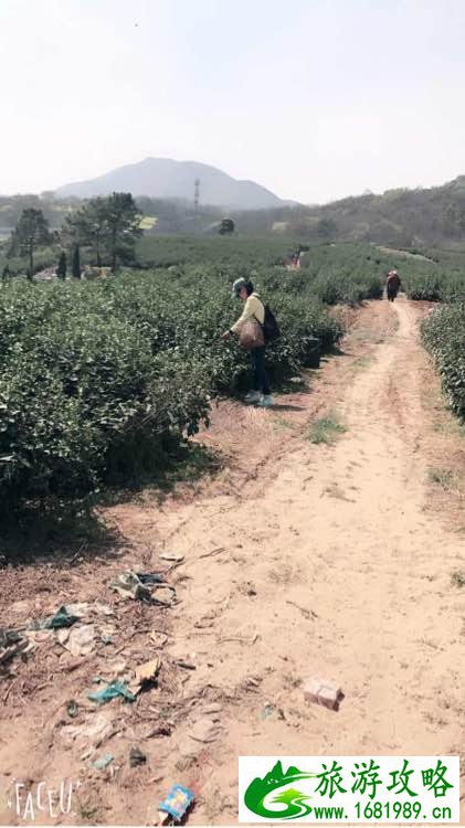 镇江的自然风光高清美图欣赏