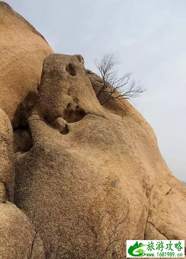 泌阳有什么好玩的 泌阳旅游