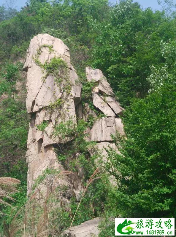 泌阳有什么好玩的 泌阳旅游