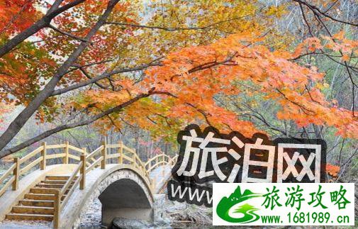 2022关门山景区旅游攻略 去关门山坐什么车