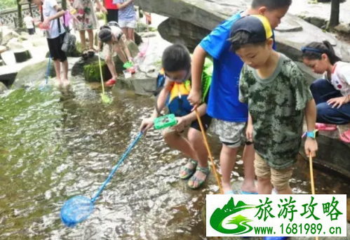 临安市太湖源有哪些民宿  临安市太湖源的民宿在哪里