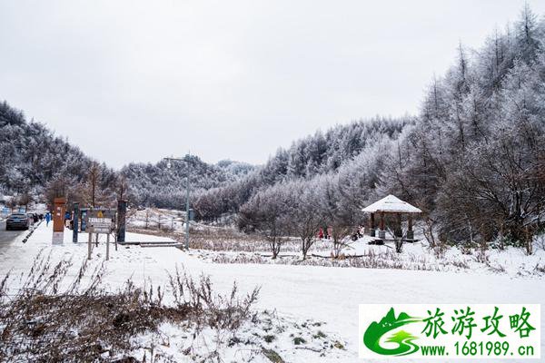 重庆毛草坝滑雪场在哪里 重庆茅草坝滑雪场怎么去