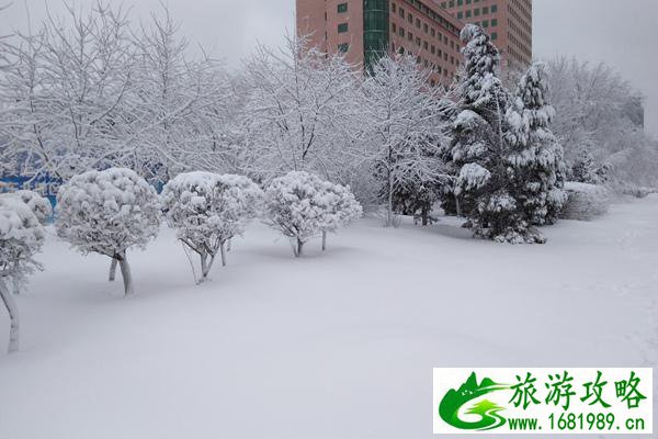 受降雪影响辽宁全省293个收费站已全部封闭