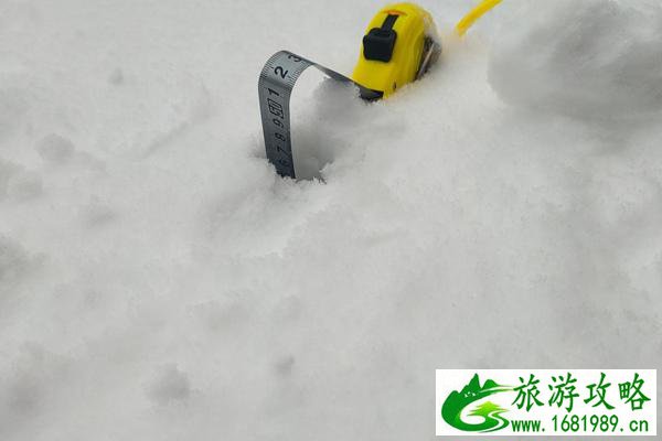 受降雪影响辽宁全省293个收费站已全部封闭