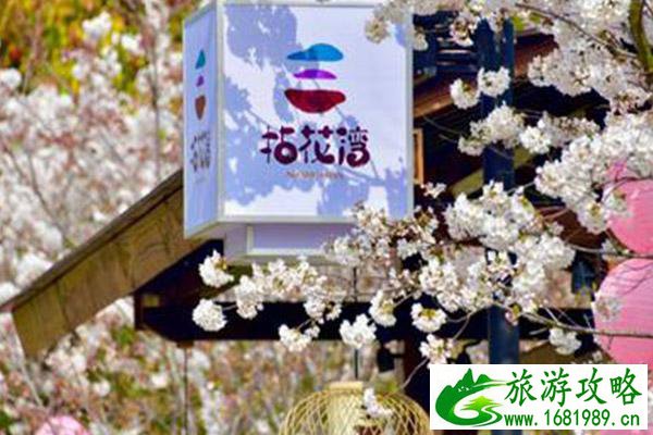 无锡拈花湾樱花号小火车运行时间 无锡拈花湾樱花最新花情2021