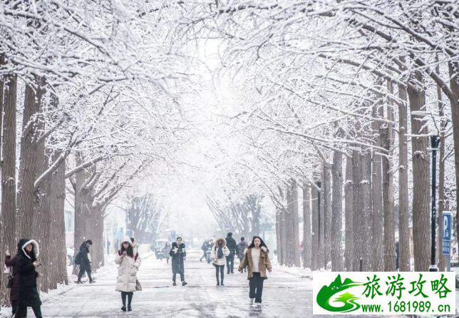 12月14日北京下雪公交停运绕行及甩站措施 国内部分城市道路结冰黄色预警