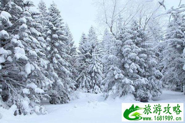 长白山看雪景最好的时间 12月长白山赏雪攻略-交通指南