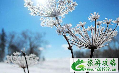 雪乡自驾游攻略 哈尔滨到雪乡自驾怎么去