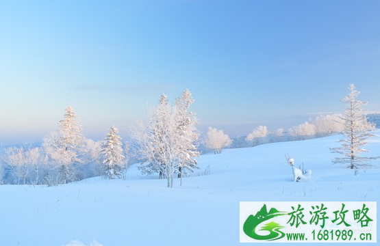 雪乡自驾游攻略 哈尔滨到雪乡自驾怎么去