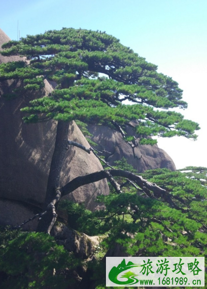 去黄山到哪个火车站下 黄山旅游交通攻略