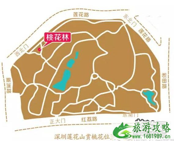 2022深圳莲花山公园桃花花期现在开了吗