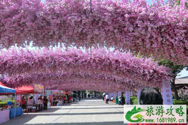 上海桃花节是几月几日2022年 附赏花路线