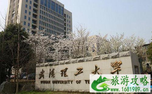 武汉理工大学樱花门票价格和开放时间介绍 附游玩路线