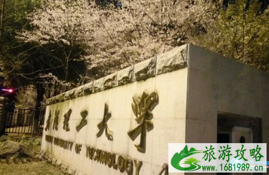 武汉理工大学樱花门票价格和开放时间介绍 附游玩路线