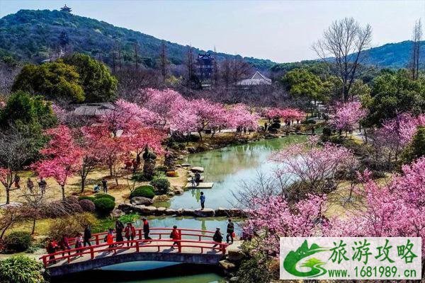 深圳樱花谷风景区在哪里 深圳樱花谷什么时候去最好