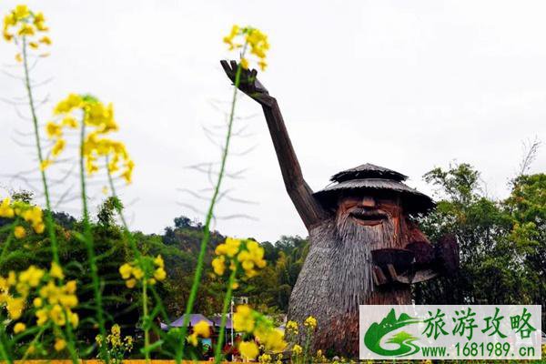 2022广州赏花景点推荐 油菜花、樱花、薰衣草都给大家盘出来了