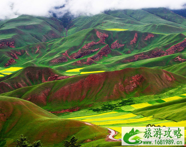 青海湖油菜花什么时候开 青海湖油菜花攻略