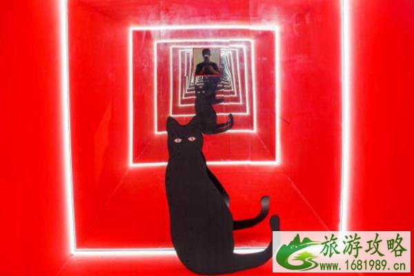 深圳寻找薛定谔的猫插画展门票价格