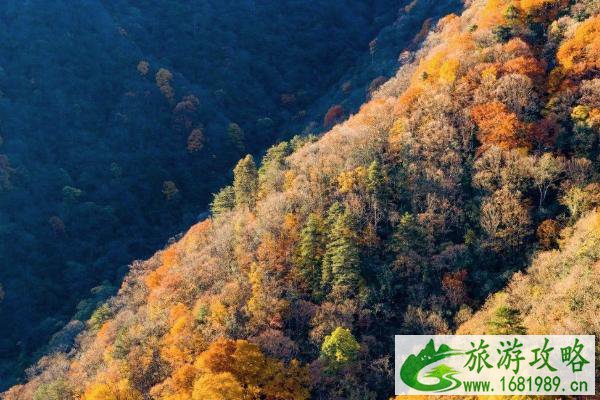 2021巴中光雾山景区清明节有哪些活动-活动安排