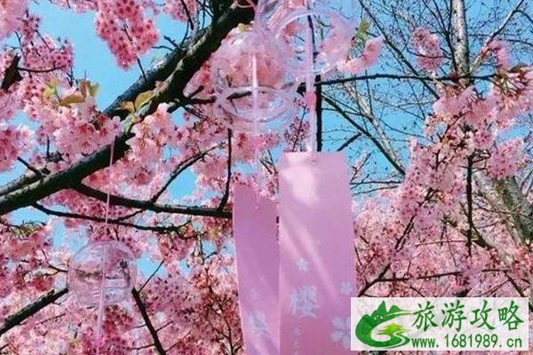 2021南宁龙门水都樱花艺术节活动时间-优惠门票