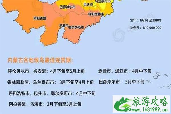 2021内蒙古候鸟迁徙路线-最佳观赏时间及地点