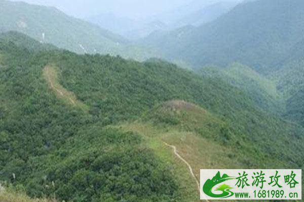 深圳爬山去哪里比较好 深圳爬山景点介绍2021