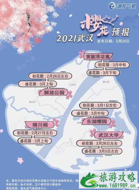 武汉樱花2月底迎来初花期 2021武汉大学樱花花期