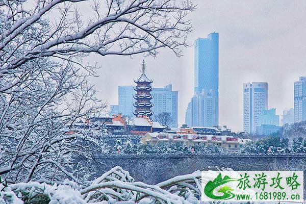 2021南京赏雪的地方 南京适合赏雪的地方