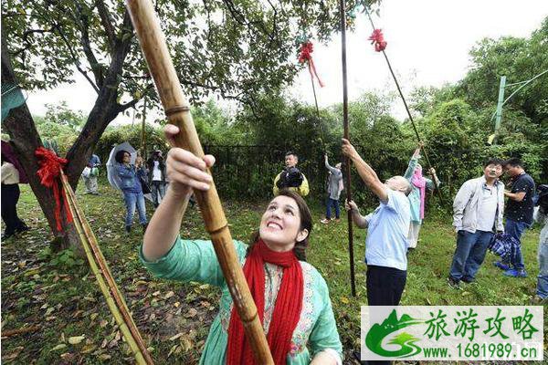 西溪火柿节2020时间和地点 西溪火柿节活动介绍