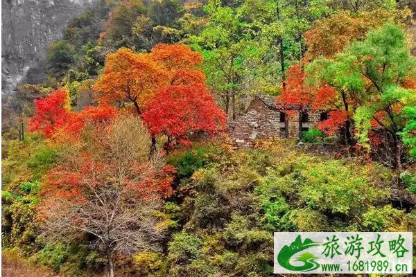 洛阳周边秋季旅游景点推荐