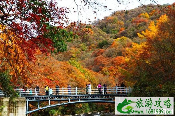 成都周边秋天哪里景色好 成都周边秋天风景好的地方推荐