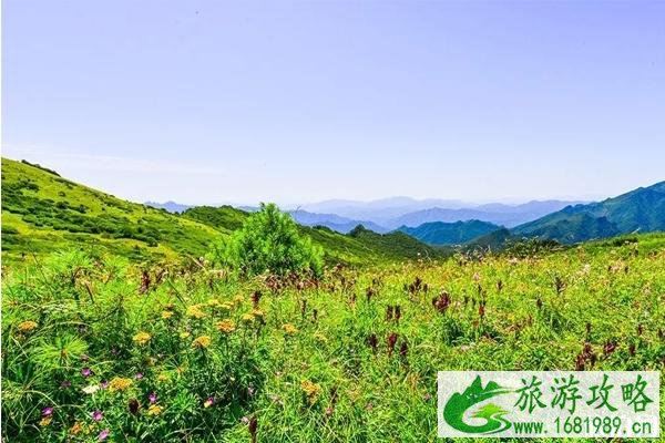 秦楚古道免费2020和旅游攻略