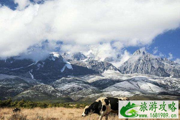 玉龙雪山8月飘雪 几月份去最好