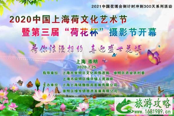 上海荷花节2020年八月有哪些和活动攻略