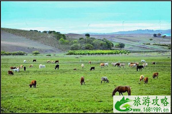 北京周边草原自驾游哪里好 北京周边草原哪个好